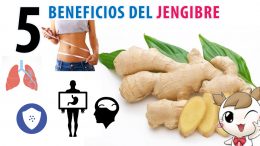 5 Beneficios del jengibre